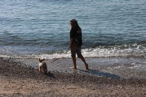 Thessaly Evros Pass: Έκλεισε η πλατφόρμα-Πάνω από 180.000 οι αιτήσεις για voucher