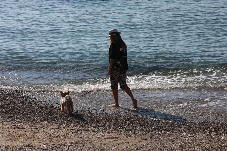Thessaly Evros Pass: Έκλεισε η πλατφόρμα-Πάνω από 180.000 οι αιτήσεις για voucher