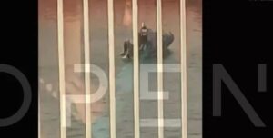 ΕΙΔΗΣΗ ΣΟΚ ΠΟΥ ΣΥΓΚΛΟΝΙΖΕΙ ΤΩΡΑ ΣΤΟ ΛΙΜΑΝΙ ΤΟΥ ΠΕΙΡΑΙΑ