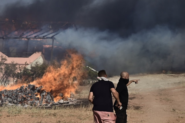 Μυτιλήνη: 57χρονος ομολόγησε 4 φωτιές που προκάλεσε -