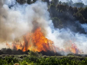 Τέσσερα πύρινα μέτωπα: Επιχειρούν αεροσκάφη – Συνδρομή και από Καβάλα