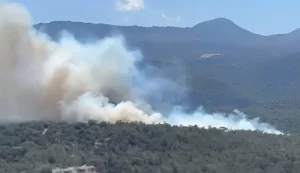 ΕΚΤΑΚΤΟ – ΜΕΓΑΛΗ ΠΥΡΚΑΓΙΑ ΤΩΡΑ ΣΕ ΠΑΝΕΜΟΡΦΟ ΜΕΡΟΣ ΤΗΣ ΕΛΛΑΔΑΣ – ΣΥΝΑΓΕΡΜΟΣ ΣΤΗΝ ΠΥΡΟΣΒΕΣΤΙΚΗ