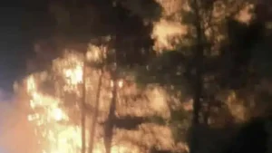 ΔΕΝ ΕΧΕΙ ΤΕΛΟΣ Ο ΕΦΙΑΛΤΗΣ – ΝΕΑ ΜΕΓΑΛΗ ΦΩΤΙΑ ΣΕ ΕΛΛΗΝΙΚΟ ΝΗΣΙ ΜΕΣΑ ΣΤΗ ΝΥΧΤΑ – ΣΥΝΑΓΕΡΜΟΣ ΤΩΡΑ