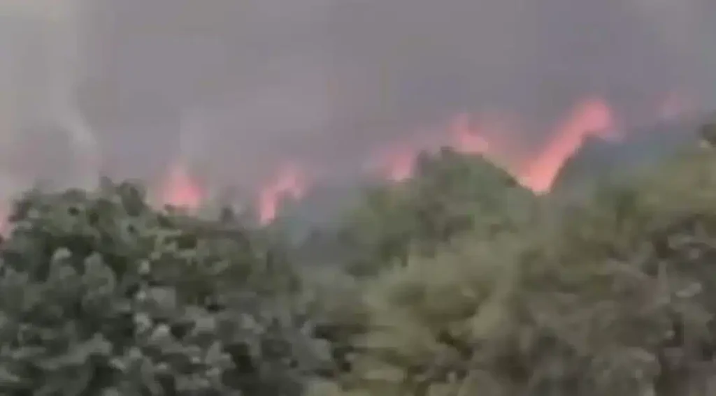 ΕΚΤΟΣ ΕΛΕΓΧΟΥ Η ΦΩΤΙΑ: ΚΤΗΝΟΤΡΟΦΟΙ ΑΠΟΜΑΚΡΥΝΟΥΝ ΤΑ ΖΩΑ ΤΟΥΣ – ΕΝΙΣΧΥΘΗΚΑΝ ΟΙ ΔΥΝΑΜΕΙΣ