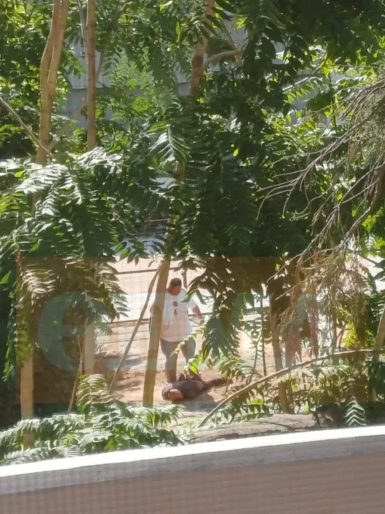 Συνελήφθη ο 40χρονος που σκότωσε την σύζυγό του στον Βόλο – Απίστευτο που κρυβόταν για ώρες και δεν τον έβρισκαν