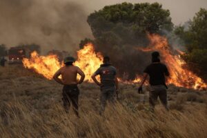 Έκτακτα μέτρα στήριξης των πληγέντων από τις φωτιές αποφάσισε η κυβέρνηση