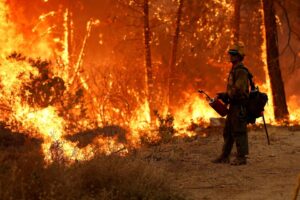 Κλίμα: Οι δασικές πυρκαγιές επιδεινώνουν την ποιότητα του αέρα σε απόσταση χιλιάδων χιλιομέτρων