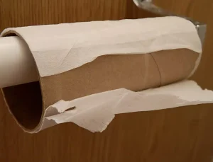 Τελειώνει η εποχή που θα χρησιμοποιούμε χαρτί υγείας; Να με τι θα αντικατασταθεί