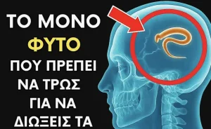 Μόνο 2 κουταλιές… Βοηθάει την αποβολή από τα σκουλήκια και τα παράσιτα από το σώμα σας