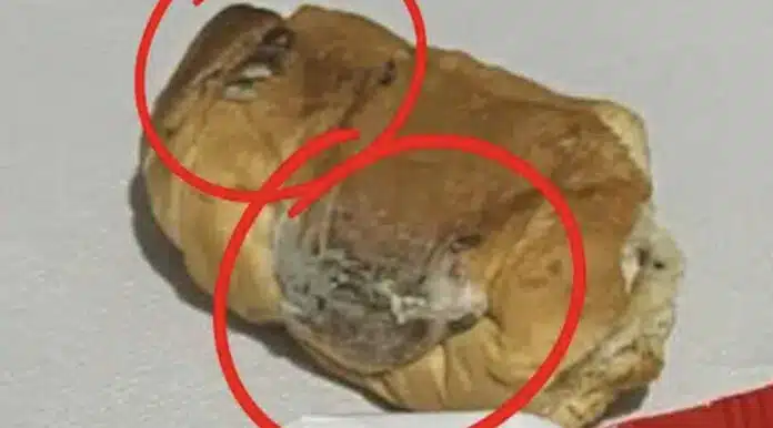 Περιττώματα τρωκτικών σε κρουασάν πασίγνωστης αλυσίδας σουπερμάρκετ στην Ελλάδα – Φωτογραφίες που σοκάρουν
