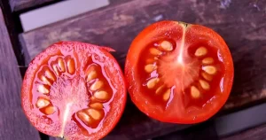 Οι γιατροί αποκαλύπτουν ότι η κατανάλωση ντομάτας…