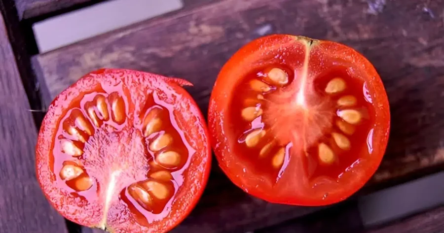 Οι γιατροί αποκαλύπτουν ότι η κατανάλωση ντομάτας...