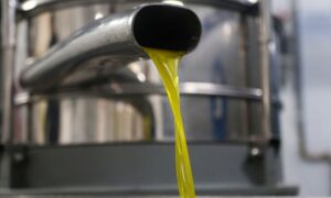 ΕΚΤΑΚΤΟ Ελαιόλαδο: Αυτή θα είναι η τιμή του φέτος