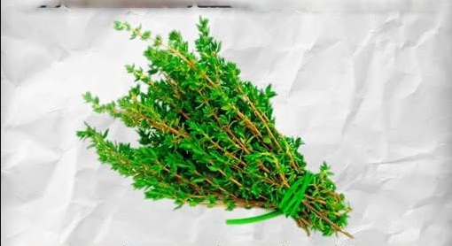 Φυσικό Detox Ρόφημα για την Απομάκρυνση Παρασίτων από το Σώμα!