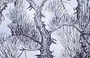 Μόνο το 1% των ανθρώπων μπορεί να βρει όλα τα πρόσωπα σε λιγότερο από 30 δευτερόλεπτα