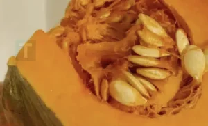 Οι γιατροί αποκαλύπτουν ότι η κατανάλωση κολοκύθας προκαλεί