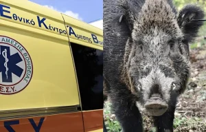 Τραγωδία: Σκοτώθηκε 24χρονος μοτοσικλετιστής μετά από σύγκρουση με αγριογούρουνο