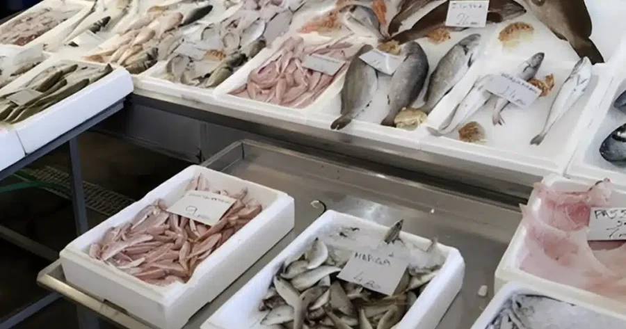 Το πιο υγιεινό ψάρι που όλοι πρέπει να τρώμε τουλάχιστον δύο φορές την εβδομάδα