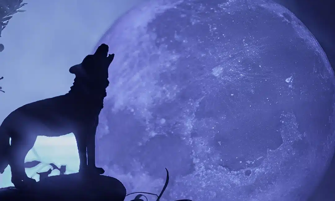 Το «Φεγγάρι του Λύκου» έρχεται στις 3 Ιανουαρίου – Η πρώτη πανσέληνος του 2026 επηρεάζει τρία ζώδια