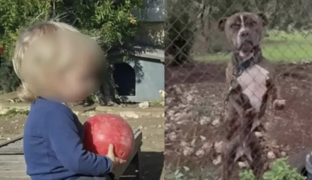 Θρήνος για τον μικρό άγγελο της Ζακύνθου – Αυτός είναι ο λόγος που το πίτμπουλ τον κατασπάραξε και τον σκότωσε