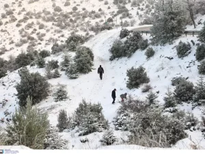 Τώρα: Ξεκίνησε να χιονίζει – Δείτε που και βίντεο