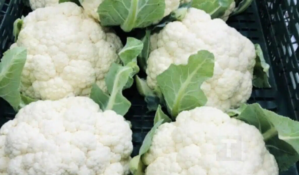 Γιατροί αποκαλύπτουν ότι η κατανάλωση κουνουπιδιού προκαλεί…