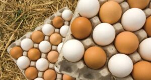 Οι γιατροί αποκαλύπτουν ότι η κατανάλωση βραστών αυγών το πρωί προκαλεί…