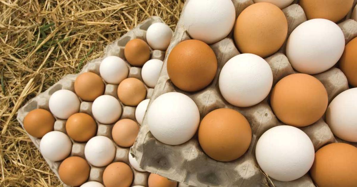 Οι γιατροί αποκαλύπτουν ότι η κατανάλωση βραστών αυγών το πρωί προκαλεί…