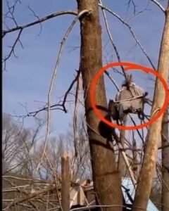 Η ανάρρωση μιας οικογένειας από την καταιγίδα στο Τενεσί