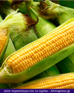 Τι συμβαίνει στο σώμα σας όταν τρώτε καλαμπόκι τακτικά;