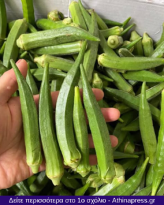 Είναι οι Μπάμιες Καλές για τα Άτομα με Διαβήτη; Οφέλη, Κίνδυνοι και ο Σωστός Τρόπος Κατανάλωσης