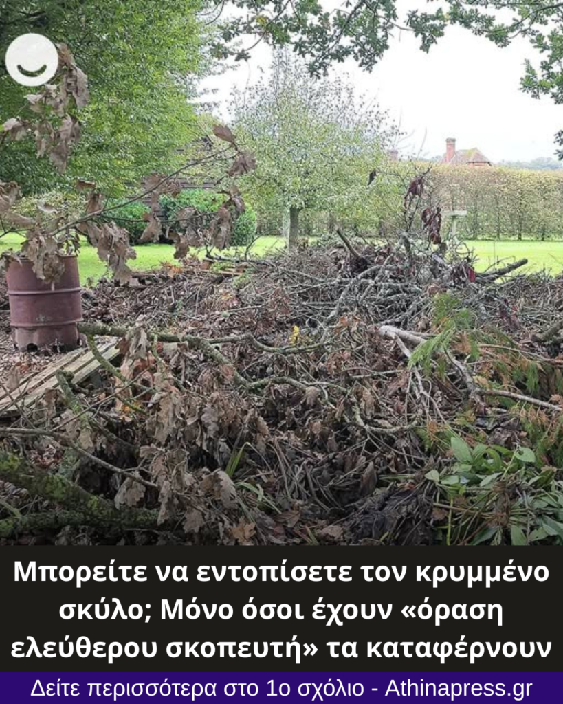 Μπορείτε να εντοπίσετε τον κρυμμένο σκύλο; Μόνο όσοι έχουν «όραση ελεύθερου σκοπευτή» τα καταφέρνουν