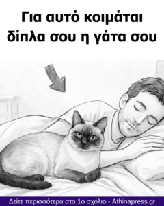 Αν η γάτα σας κοιμάται μαζί σας κάθε βράδυ, δείτε τι μπορεί να σημαίνει
