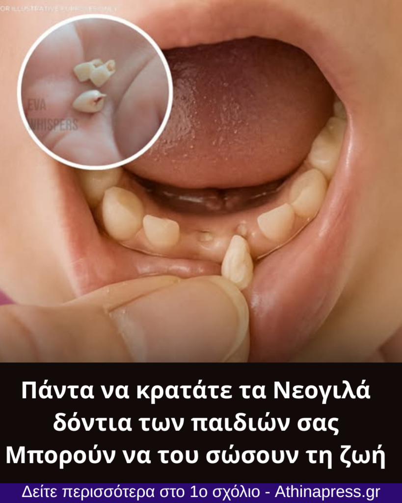 Μικρά Δόντια, Μεγάλες Δυνατότητες: Η Υπόσχεση των Βλαστοκυττάρων στα Νεογιλά Δόντια