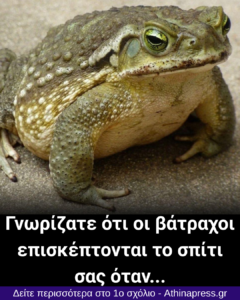 Γιατί εμφανίζεται ένας φρύνος στο σπίτι σας και τι μπορεί να σημαίνει η παρουσία του;