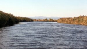 Νεκροί δύο μετανάστες στον Έβρο – Προσπάθησαν να περάσουν το ποτάμι και τους βρήκαν παγωμένους