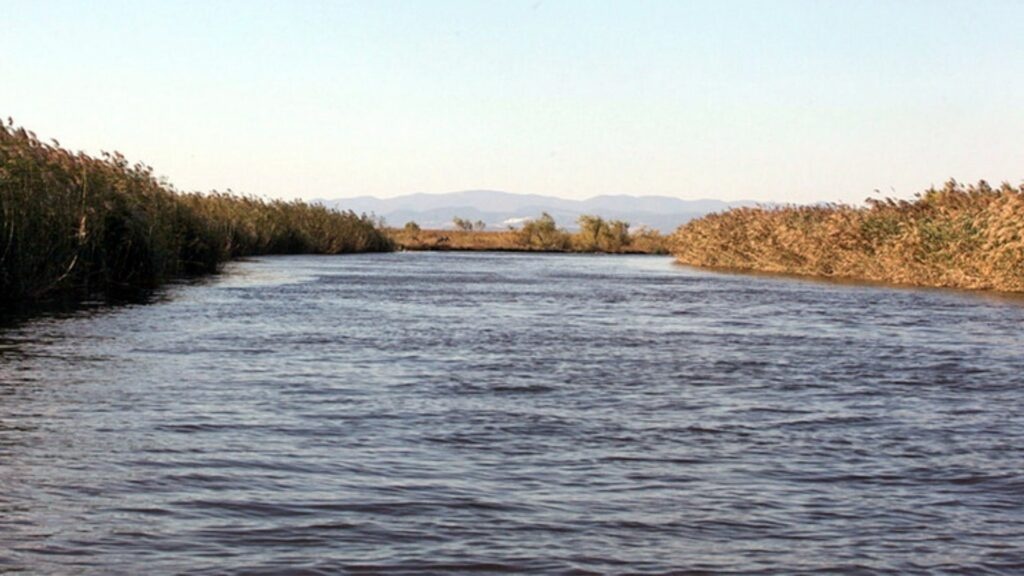 Νεκροί δύο μετανάστες στον Έβρο – Προσπάθησαν να περάσουν το ποτάμι και τους βρήκαν παγωμένους