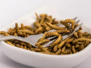 Θα τρώμε έντομα χωρίς να το ξέρουμε: Ποια τρόφιμα στην Ελλάδα θα περιέχουν έντομα