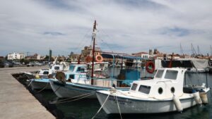 Θpίλεp στο Γύθειο: Μόλις βρέθnκε για τον 60xpovo ψαρά