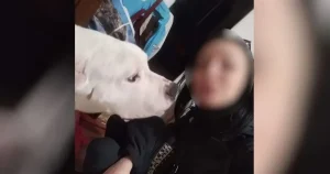 Μαθεύτηκε τι σοκαριστικό φώναζε ο 38χρονος στην 31χρονη έγκυο σύντροφό του που βρέθηκε νεκρή στον Κολωνό