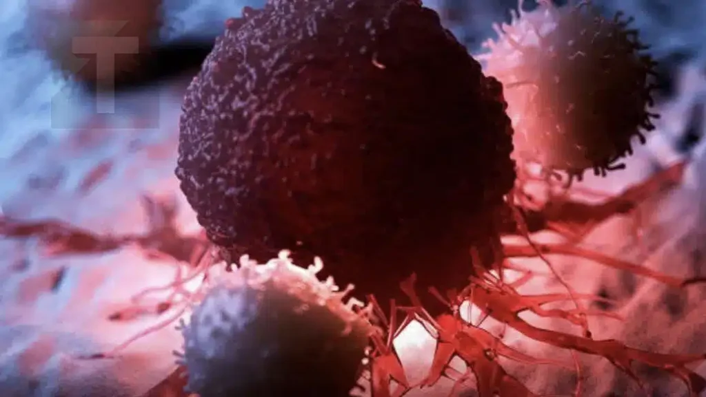 8 από τις καλύτερες αντικαρκινικές τροφές. Ήρθε η ώρα να τις προσθέσετε στη διατροφή σας