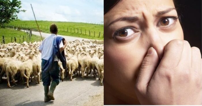 Ο Άντρας μου Είναι Κτηνοτρόφος Και Μυρίζει Τόσο Που Δεν Τον Αντέχω στο Κρεβάτι. Να Τον Χωρίσω;