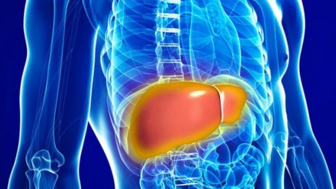 Λίπος στο συκώτι: Ποια διατροφή και ποια καθημερινή δραστηριότητα βοηθούν να προληφθεί η συσσώρευση