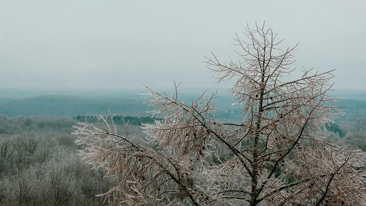 1440x810 cmsv2 173e69d6 6d69 5c4d b42d 7634c50c9a15 9644440