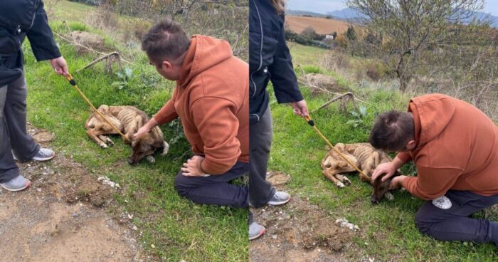 Αλεξανδρούπολη: Κατάφεραν και βρήκαν την κοκαλιασμένη σκυλίτσα που ήταν μόνη της σε βουνό