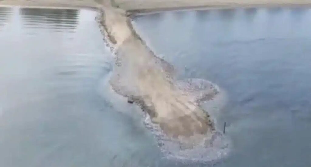 Ελλάδα 2026: Μπάζωσαν ακόμα και τη… θάλασσα – Δημιούργησαν δρόμο 60 μέτρων πάνω στο νερό για εταιρεία με σκάφη