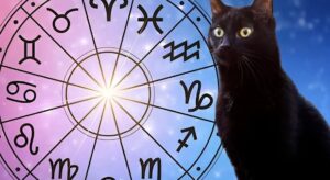 Τα 3 ζώδια που έχουν τη λιγότερη τύχη στη ζωή, σύμφωνα με αστρολόγο