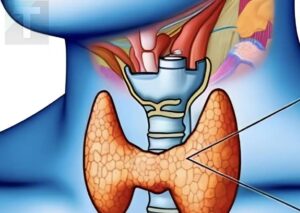 Θυρεοειδής: 3 συμπτώματα που θα μπορούσαν να υποδηλώνουν καpκίνο