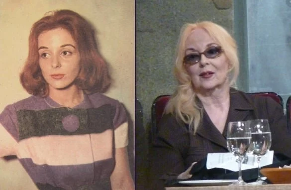 621237941 1423531759448064 9144341429008184924 n