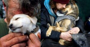 Χτίζουν το πρώτο δημόσιο νοσοκομείο για ζώα. Θα βοηθήσουν τα άστεγα